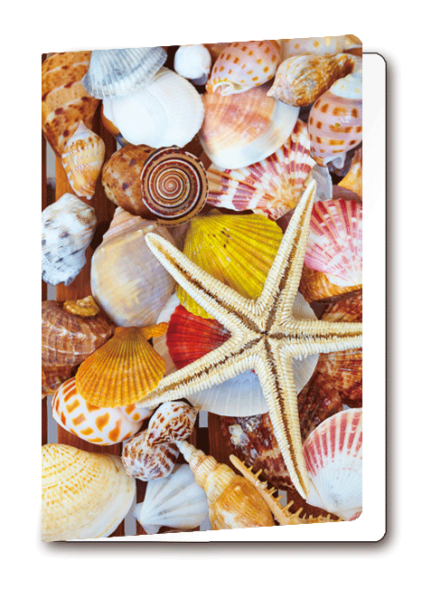 3D-Card Starfish
