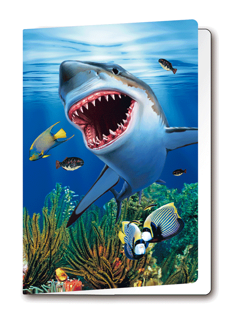 3D-Card Shark