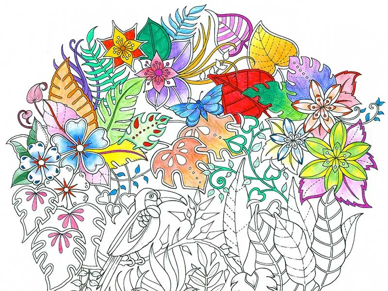 Adult Colouring Book - Assorted Pack (5/pk)