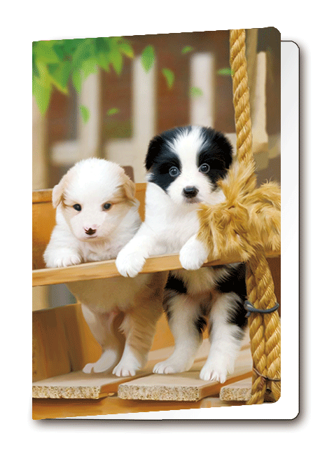3D Card Puppies