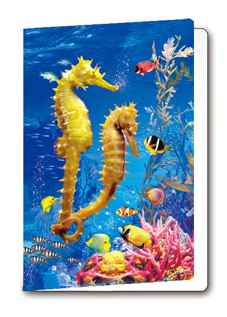 3D-Card Seahorse