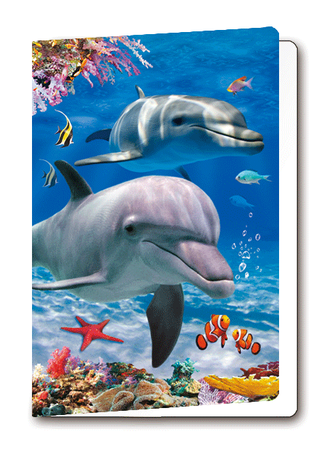 3D-Card Dolphins