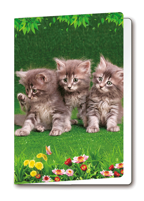 3D-Card Kittens