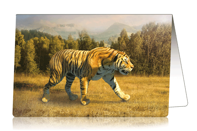 3D-Card Tiger