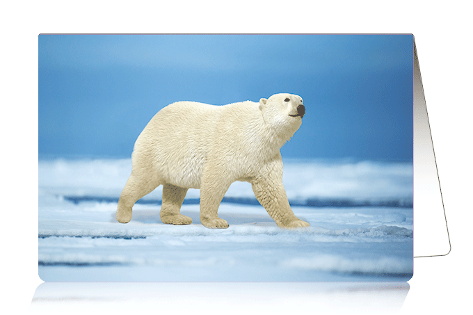 3D Card Polar Bear