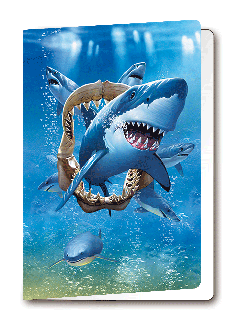 3D Card Sharks
