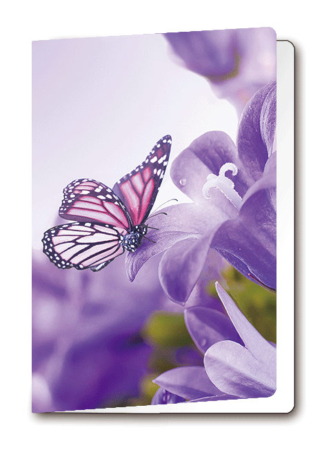 3D Card Butterfly