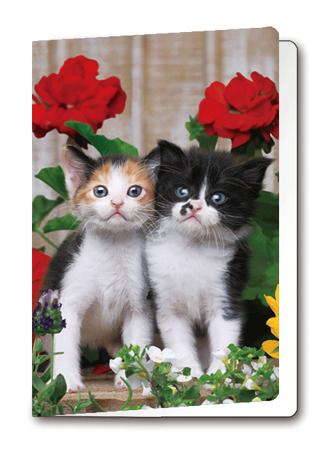 3D Card Kittens