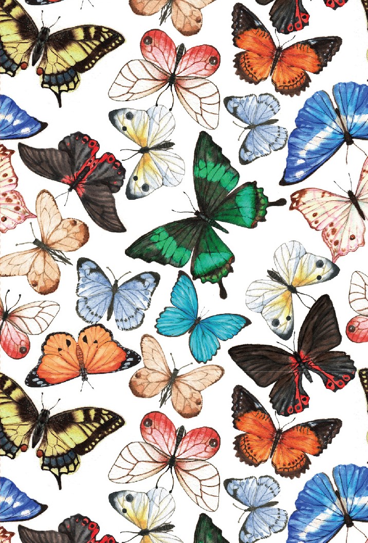Tov Butterflies