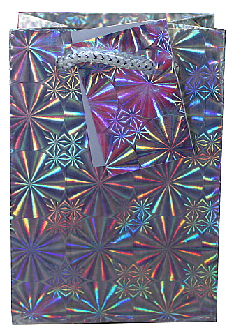Holographic Bag (Mini): Silver