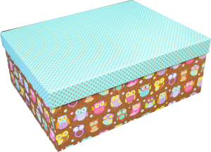 Gift Box - OWL (12pcs/set)