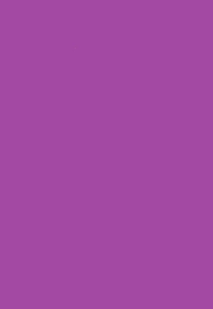 Wrapup Solid Colour - Purple