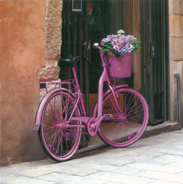 TMS Pink Bicycle