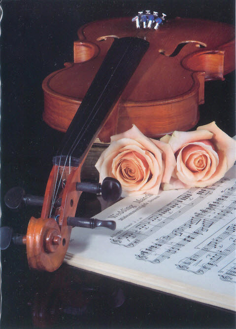 S-Card Violin and Rose