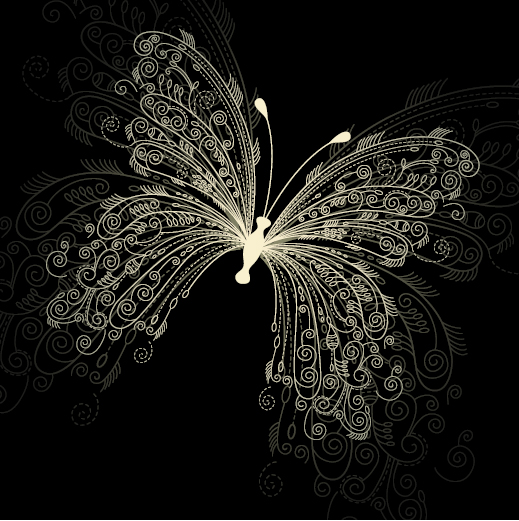 Premium Butterfly on black background