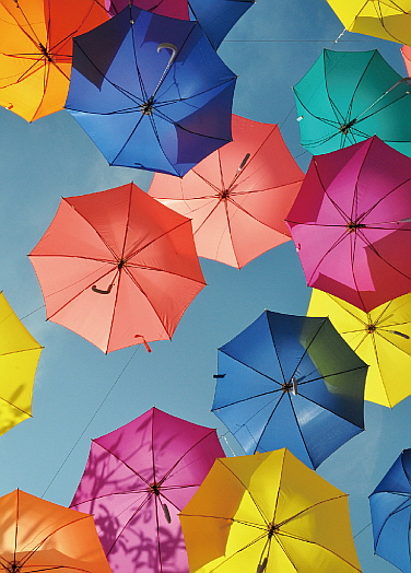 S-Card Umbrellas